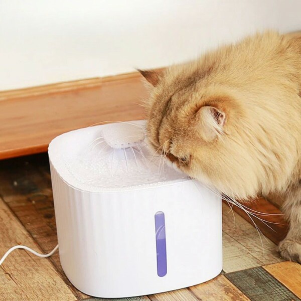 Bebedouro Pet Inteligente Fonte de Agua Automatico Com Filtro